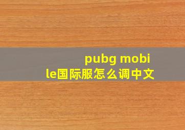 pubg mobile国际服怎么调中文